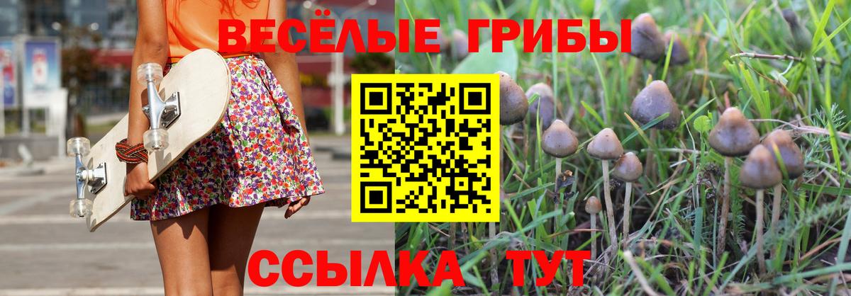 Галлюциногенные грибы мицелий  что такое   Галлюциногенные грибы Cubensis  Новозыбков  Вход с VPN 